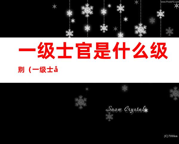 一级士官是什么级别(一级士官是什么级别一级军士长有)