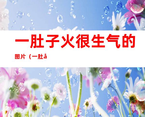 一肚子火很生气的图片(一肚子火很生气的图片大全)