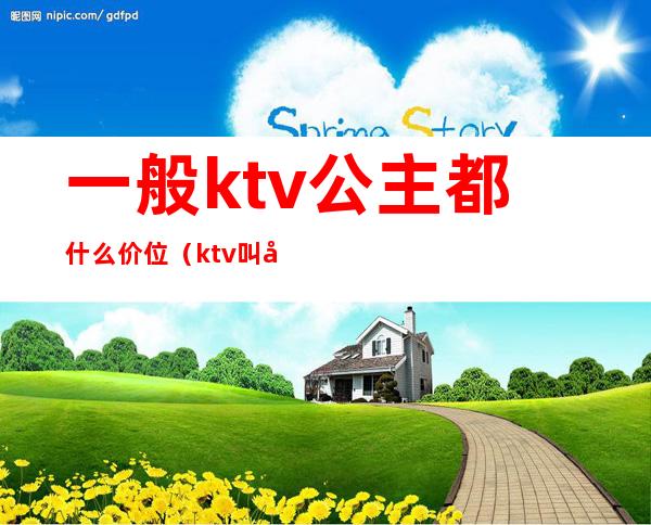 一般ktv公主都什么价位(ktv叫公主一般多少钱)