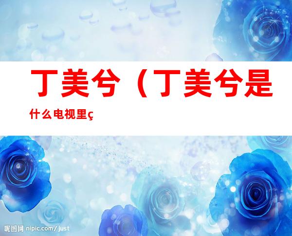 丁美兮(丁美兮是什么电视里的)