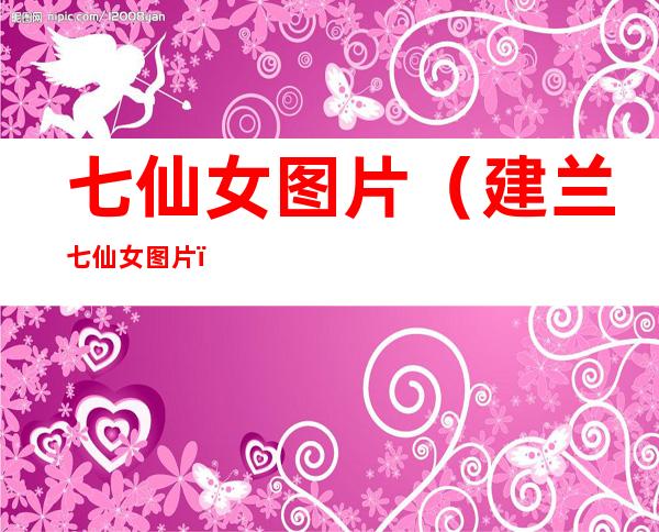 七仙女图片(建兰七仙女图片)