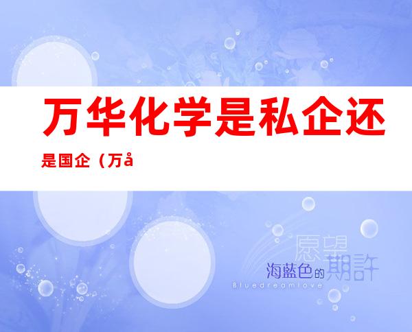 万华化学是私企还是国企（万华化学集团是私企还是国企）
