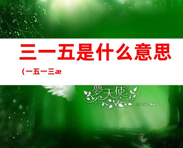 三一五是什么意思(一五一三是什么意思)