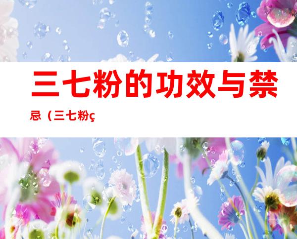 三七粉的功效与禁忌(三七粉的功效与禁忌高血压药)