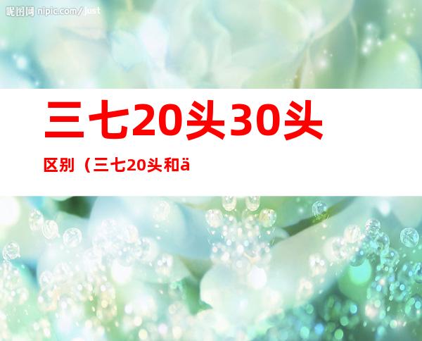 三七20头30头区别(三七20头和三十头怎么区分)