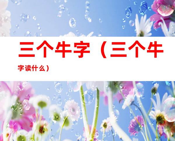 三个牛字(三个牛字读什么)