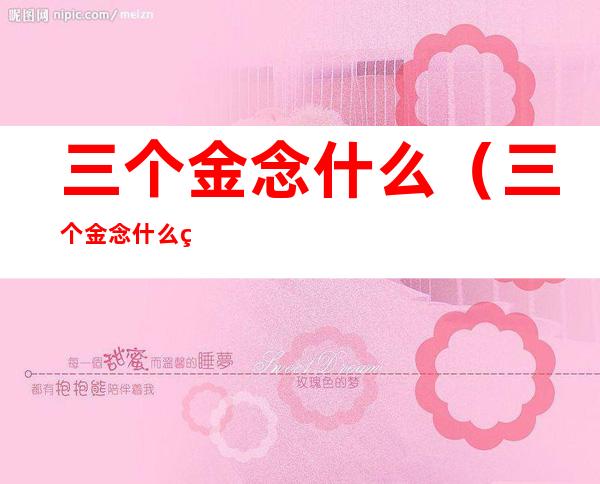 三个金念什么（三个金念什么犇）