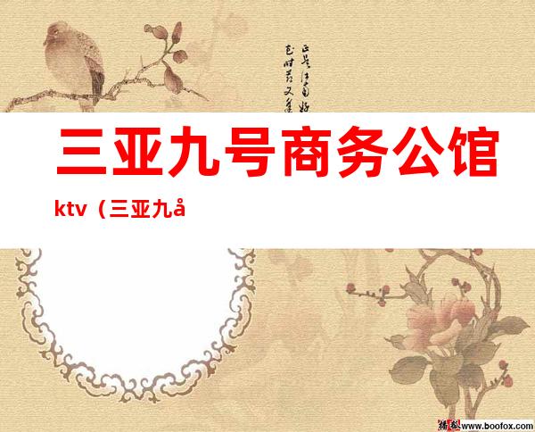 三亚九号商务公馆ktv(三亚九号公馆招聘信息)