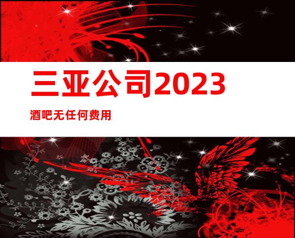 三亚公司2023酒吧无任何费用