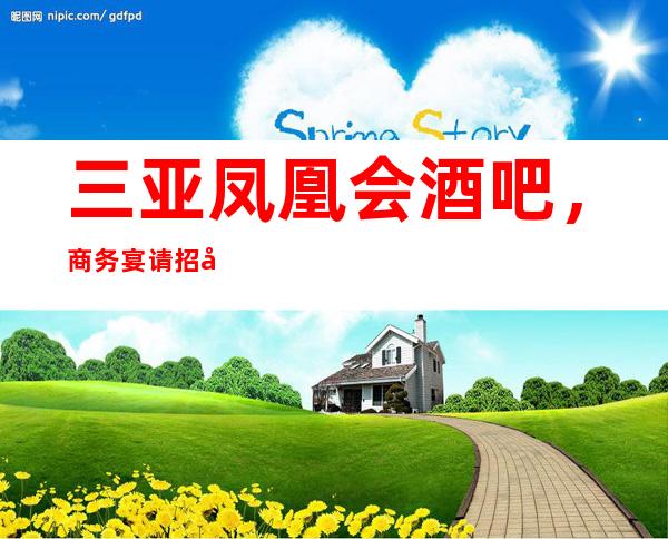 三亚凤凰会酒吧,商务宴请招待客户的好地方
