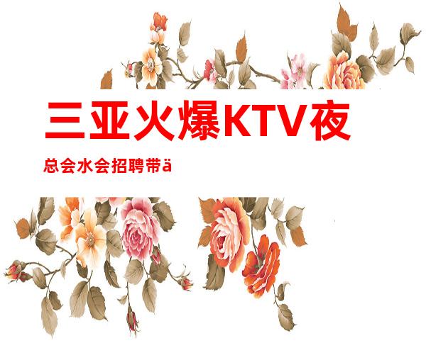 三亚火爆KTV夜总会/水会招聘  带你赚我是认真的！
