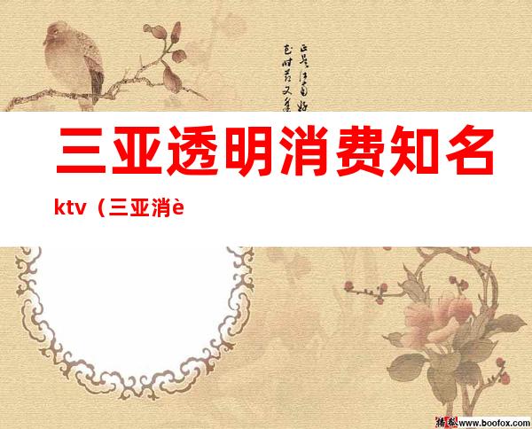 三亚透明消费知名ktv(三亚消费最高的地方)