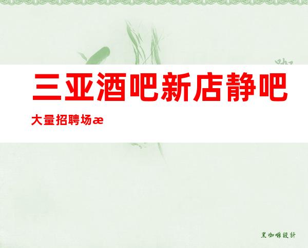 三亚酒吧新店静吧大量招聘场所停业的快来