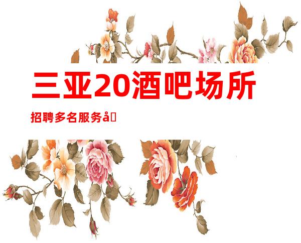 三亚20酒吧场所招聘多名服务员再差也好上班