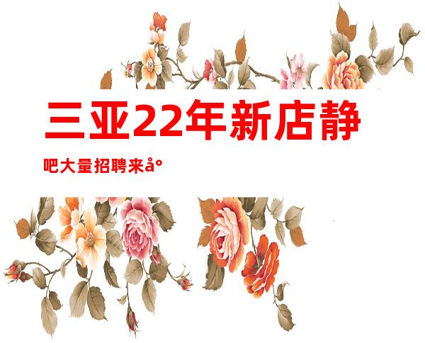 三亚22年新店静吧大量招聘来就有惊喜