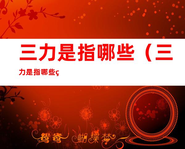 三力是指哪些(三力是指哪些眼力脚力)