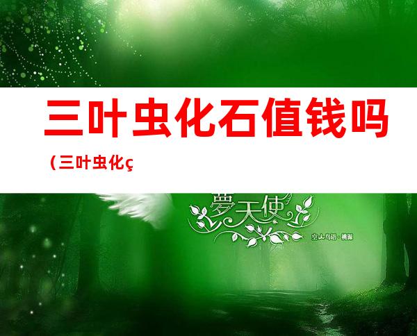 三叶虫化石值钱吗(三叶虫化石的价格高吗)