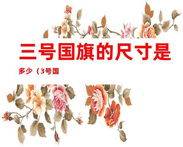 三号国旗的尺寸是多少(3号国旗多大尺寸?)