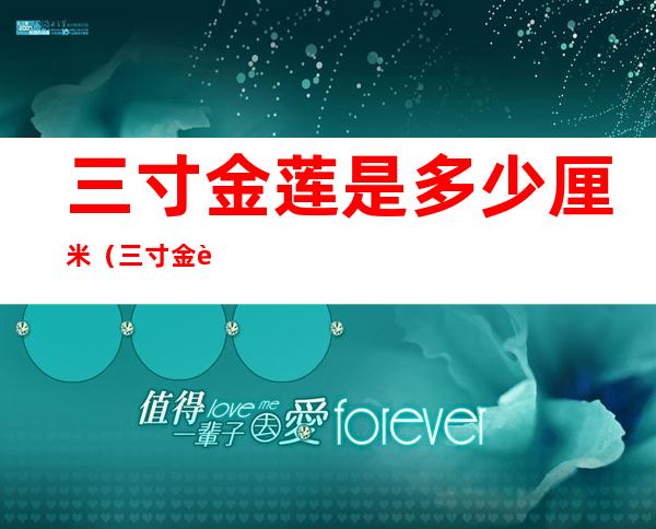 三寸金莲是多少厘米(三寸金莲是多大尺寸)