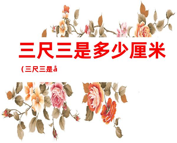 三尺三是多少厘米(三尺三是多少厘米乘以多少厘米)