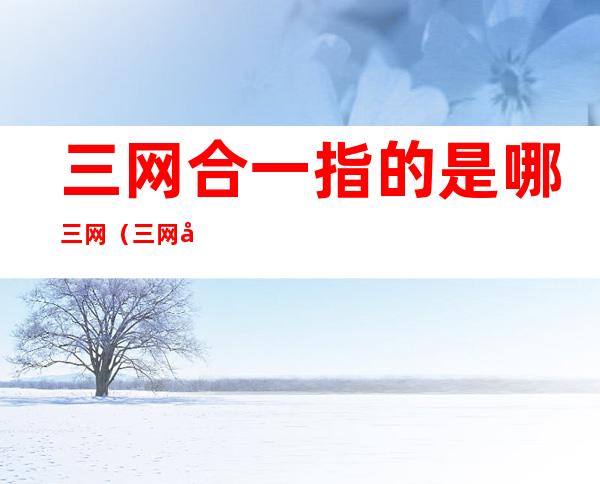 三网合一指的是哪三网（三网合一的三网指的是哪三网）