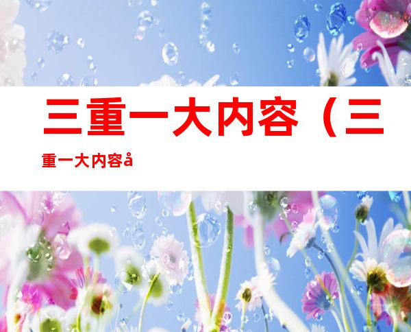 三重一大内容(三重一大内容图片)