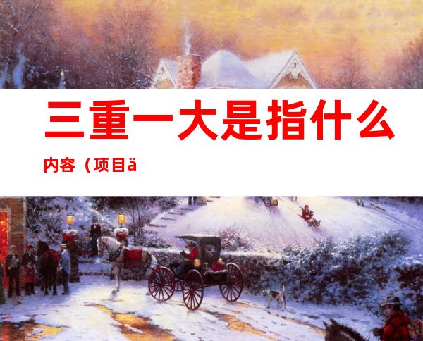 三重一大是指什么内容(项目三重一大是指什么内容)