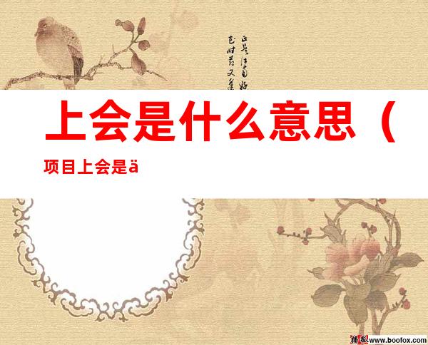 上会是什么意思(项目上会是什么意思)