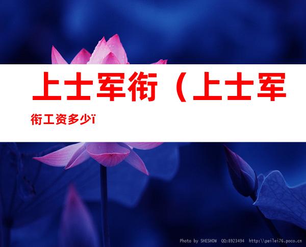 上士军衔（上士军衔工资多少）