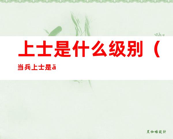 上士是什么级别(当兵上士是什么级别)