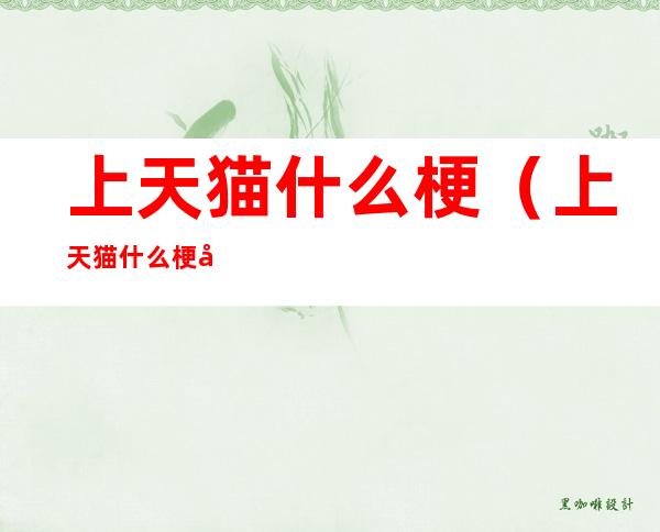 上天猫什么梗(上天猫什么梗啊)