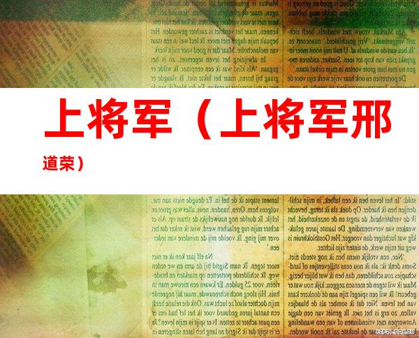 上将军(上将军邢道荣)