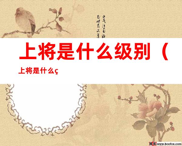 上将是什么级别（上将是什么级别的干部）