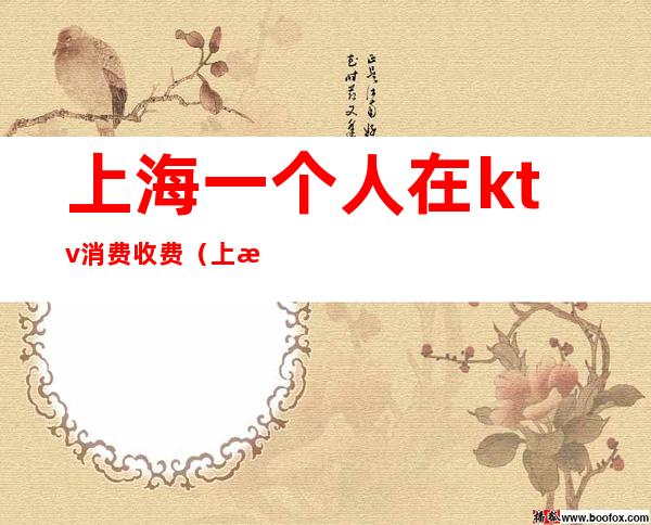 上海一个人在ktv消费收费(上海哪个ktv小费最高)