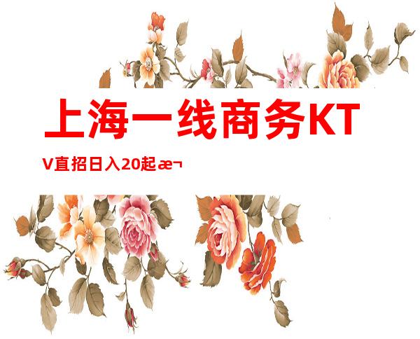 上海一线商务KTV直招日入20起欢迎找场子的你