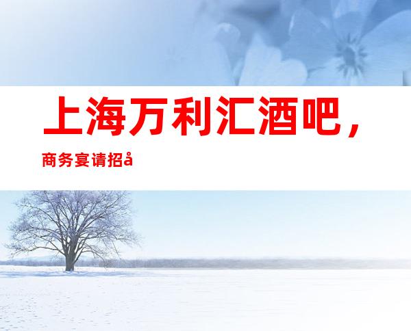 上海万利汇酒吧，商务宴请招待客户的好地方