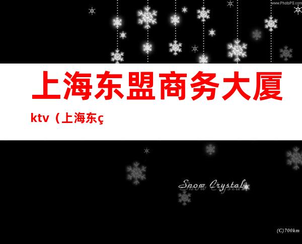 上海东盟商务大厦ktv(上海东盟商务大厦B座多少层)