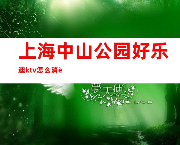 上海中山公园好乐迪ktv怎么消费(上海中山公园好乐迪ktv怎么消费的)
