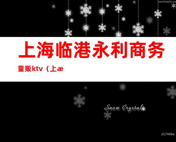 上海临港永利商务量贩ktv(上海临港永利商务量贩KTV)
