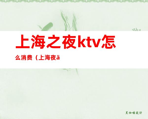 上海之夜ktv怎么消费（上海夜世界ktv）