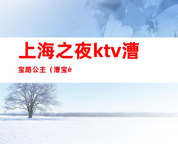 上海之夜ktv漕宝路公主（漕宝路夜上海KTV）