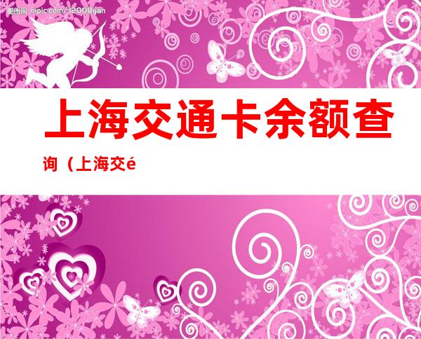 上海交通卡余额查询(上海交通卡余额查询数据存在延迟)