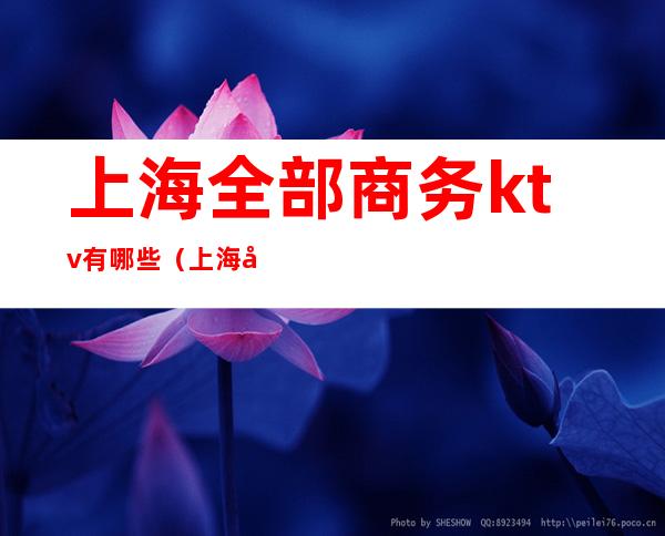 上海全部商务ktv有哪些(上海商务KTV排名)