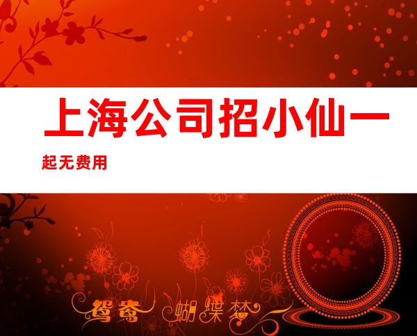 上海公司招小仙一起无费用