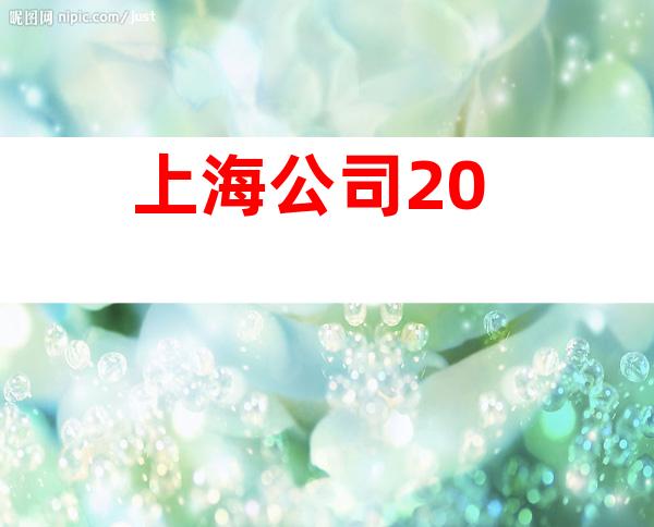 上海公司 20