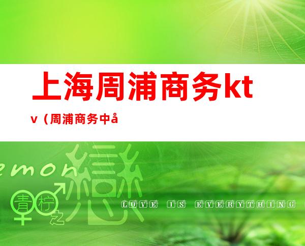上海周浦商务ktv(周浦商务中心)