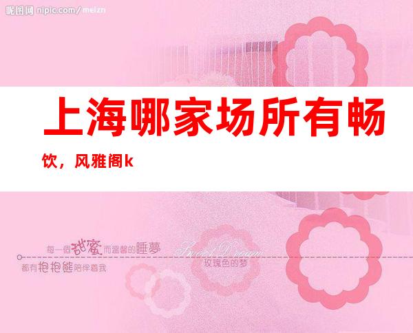 上海哪家场所有畅饮,风雅阁ktv夜总会地址在哪