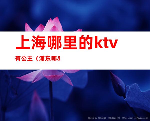 上海哪里的ktv有公主（浦东哪个ktv公主好）