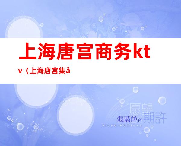 上海唐宫商务ktv(上海唐宫集团)