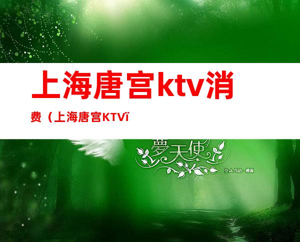 上海唐宫ktv消费（上海唐宫KTV）